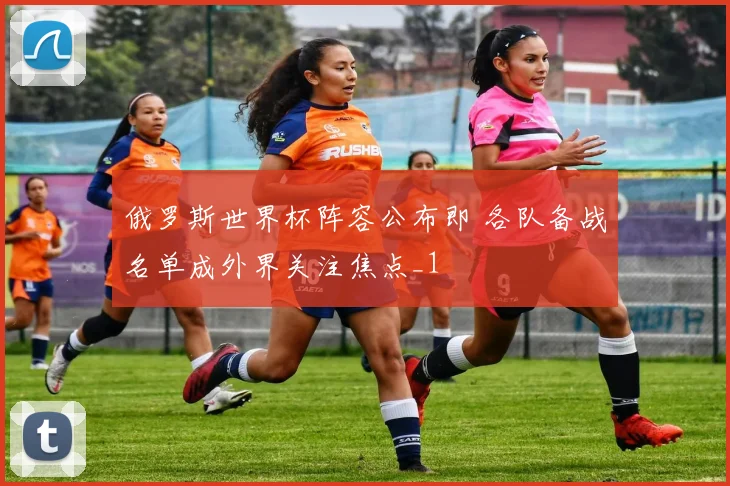 俄罗斯世界杯阵容公布即 各队备战名单成外界关注焦点_1