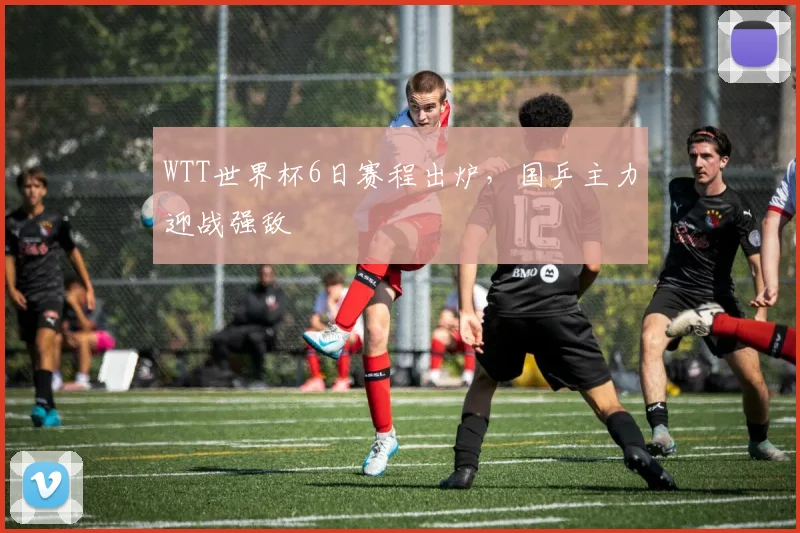 WTT世界杯6日赛程出炉,国乒主力迎战强敌