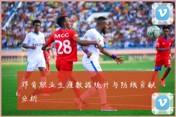 邓肯职业生涯数据统计与防线贡献分析