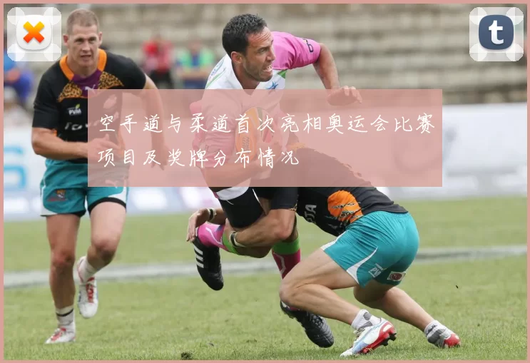 空手道与柔道首次亮相奥运会比赛项目及奖牌分布情况