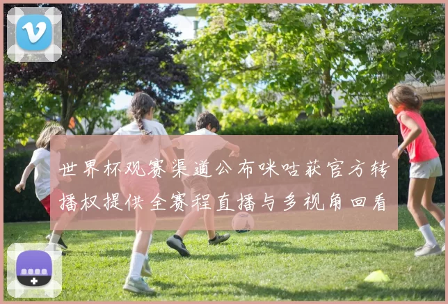 世界杯观赛渠道公布咪咕获官方转播权提供全赛程直播与多视角回看
