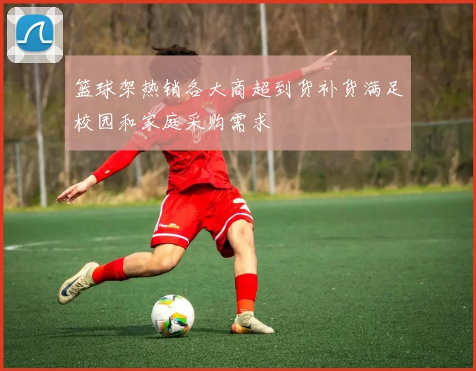 篮球架热销各大商超到货补货满足校园和家庭采购需求