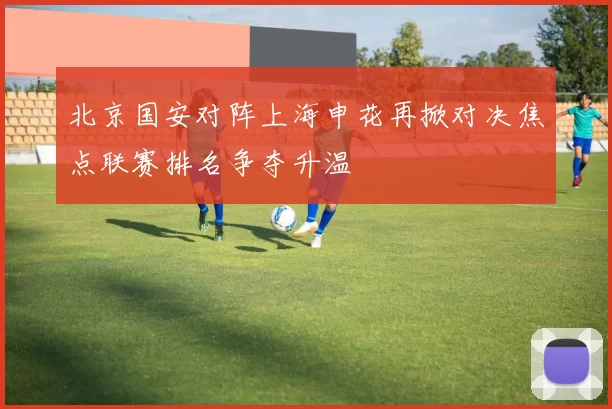 北京国安对阵上海申花再掀对决焦点联赛排名争夺升温