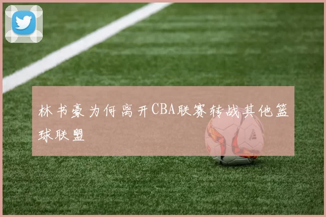 林书豪为何离开CBA联赛转战其他篮球联盟
