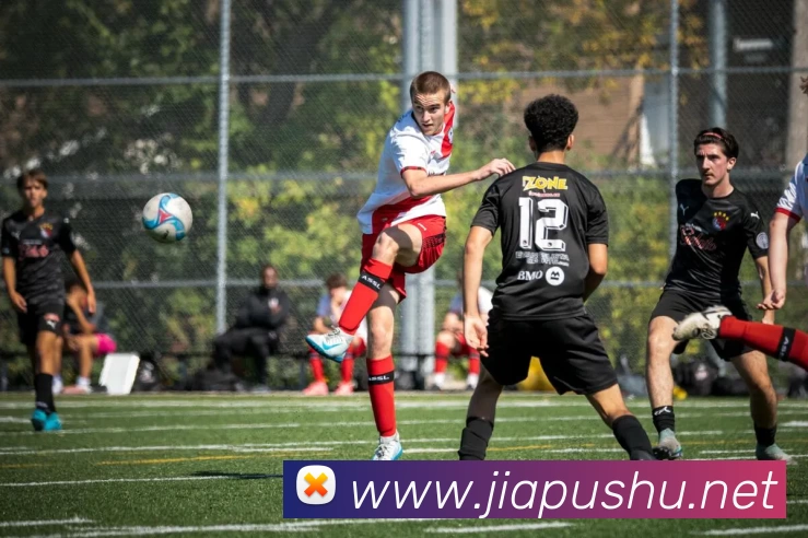 开云app登录入口 - 开云(中国)平台生态图